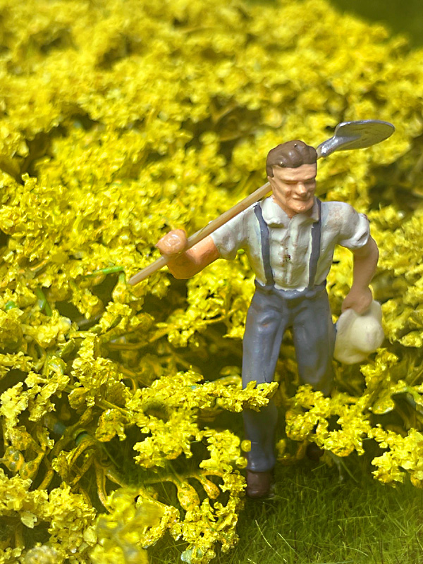YELLOW FORSYTHIA BRIAR PATCH